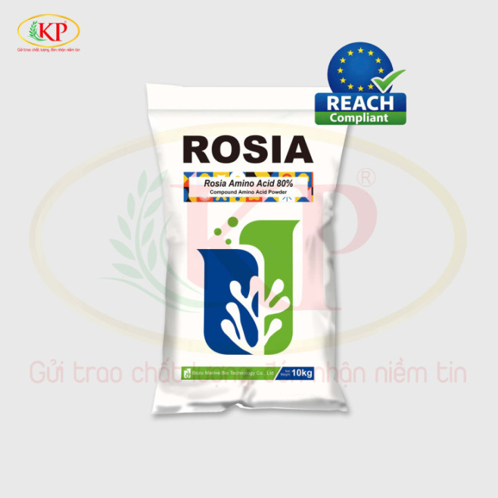 Phân Bón Amino 80% – Kích Sinh Trưởng, Tăng Kích Thước Quả