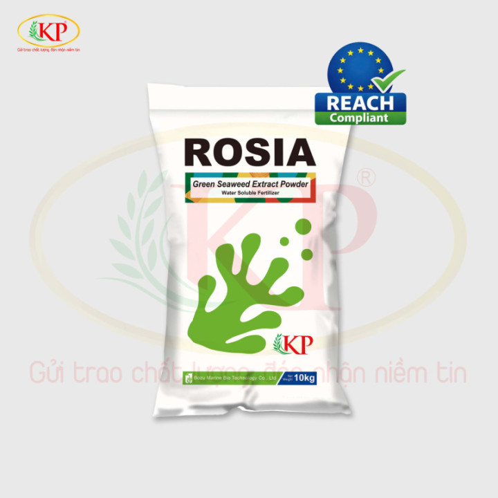 Phân Bón Amino Tảo 6.6.6 – Dinh Dưỡng Từ Tảo Biển Cao Cấp