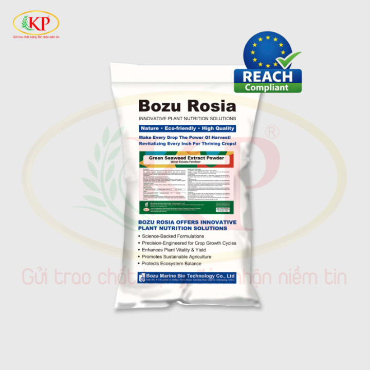 Phân Bón Amino Tảo 6.6.6 – Dinh Dưỡng Từ Tảo Biển Cao Cấp