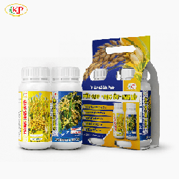 BỘ ĐÔI VÀO GẠO - ĐẠO ÔN, LEM LÉP
