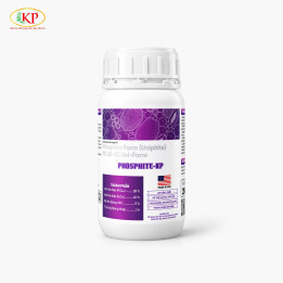 PHOSPHITE-KP - Giải Pháp Kép: Dinh Dưỡng & Bảo Vệ Cây Trồng