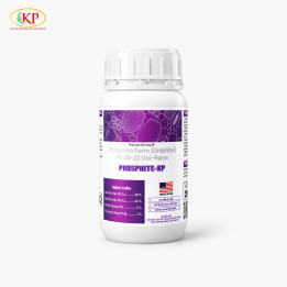 PHOSPHITE-KP - Giải Pháp Kép: Dinh Dưỡng & Bảo Vệ Cây Trồng