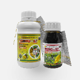 Phân Bón Lá AMINO - KP – Kích Rễ, Bung Đọt, Lớn Trái