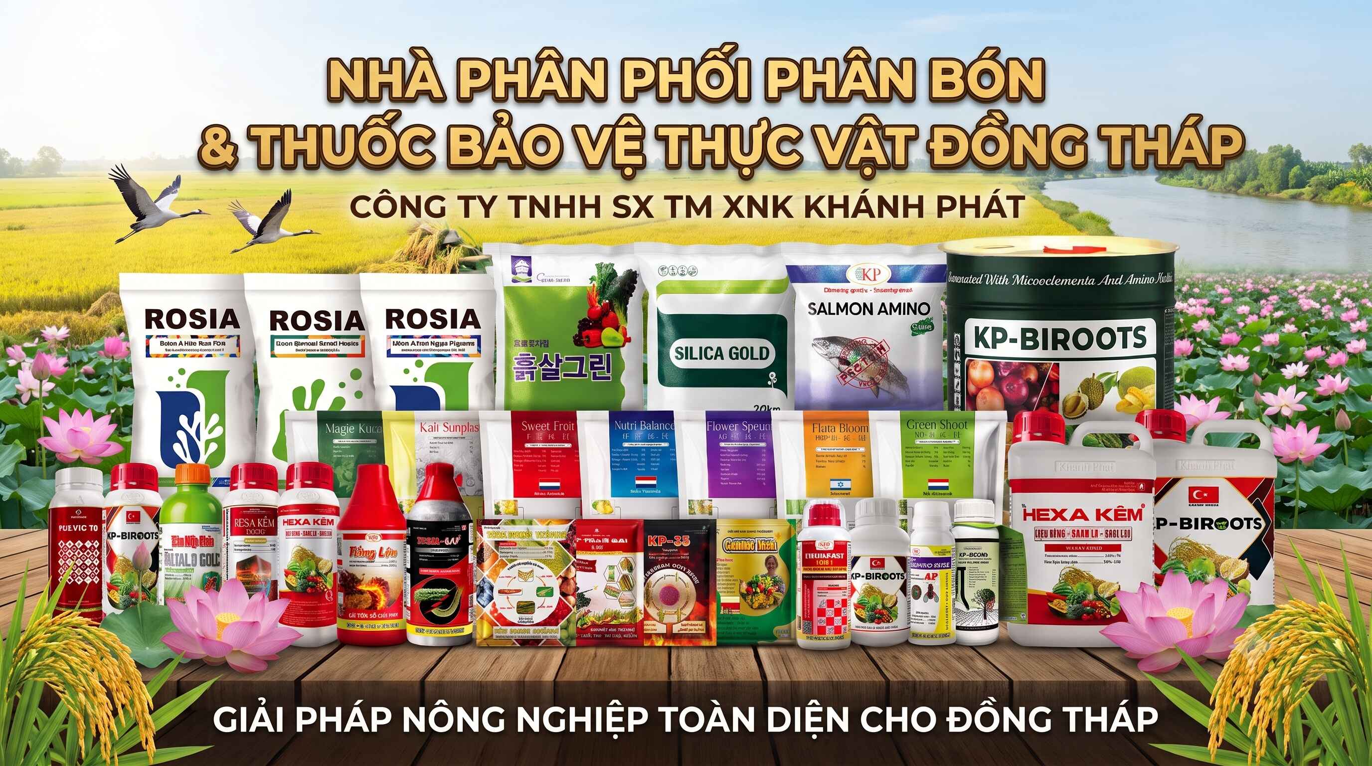 Tuyển Đại Lý Phân Phối Phân Bón & Thuốc BVTV Tại Đồng Tháp