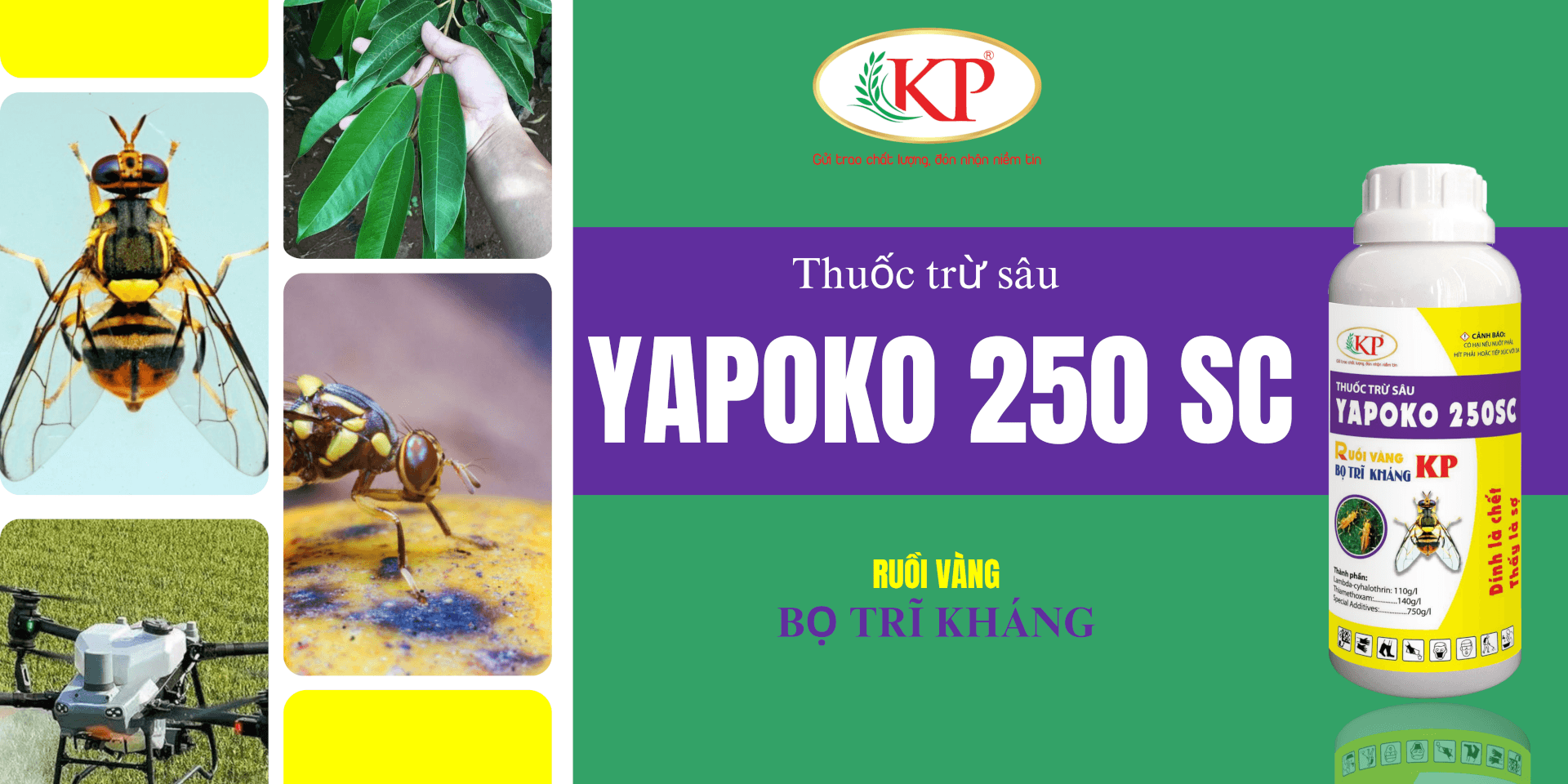 RUỒI VÀNG BỌ TRĨ KHÁNG 250SC