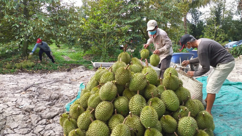 Yêu cầu cụ thể đối với cơ sở đóng gói sau riêng