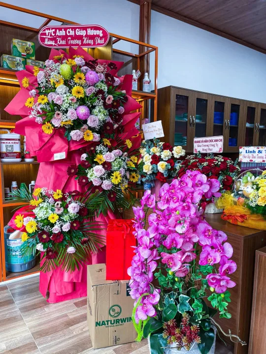 Khai Trương Văn Phòng Mới Chi Nhánh Cần Thơ – Bước Tiến Mới