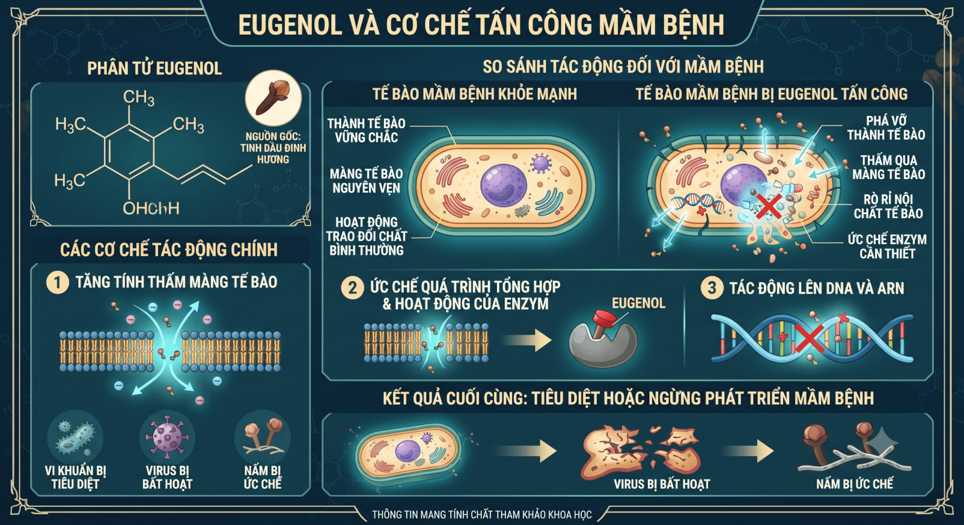 Eugenol Là Gì? "Kháng Sinh Tự Nhiên" Cho Cây Trồng & Ứng Dụng Phòng Trị Bệnh