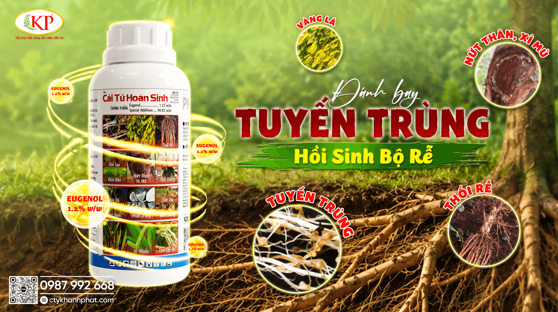 5 Cách Phục Hồi Cây Lúa Bị Vàng Lá, Nghẹn Rễ Hiệu Quả Nhất 2026