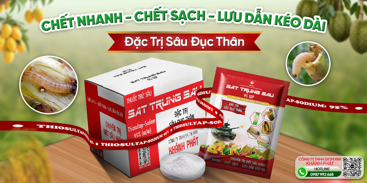 Sát Trùng Sâu 95WP: Giải Pháp Diệt Sâu Đục Thân Lúa Hiệu Quả Vụ Hè Thu