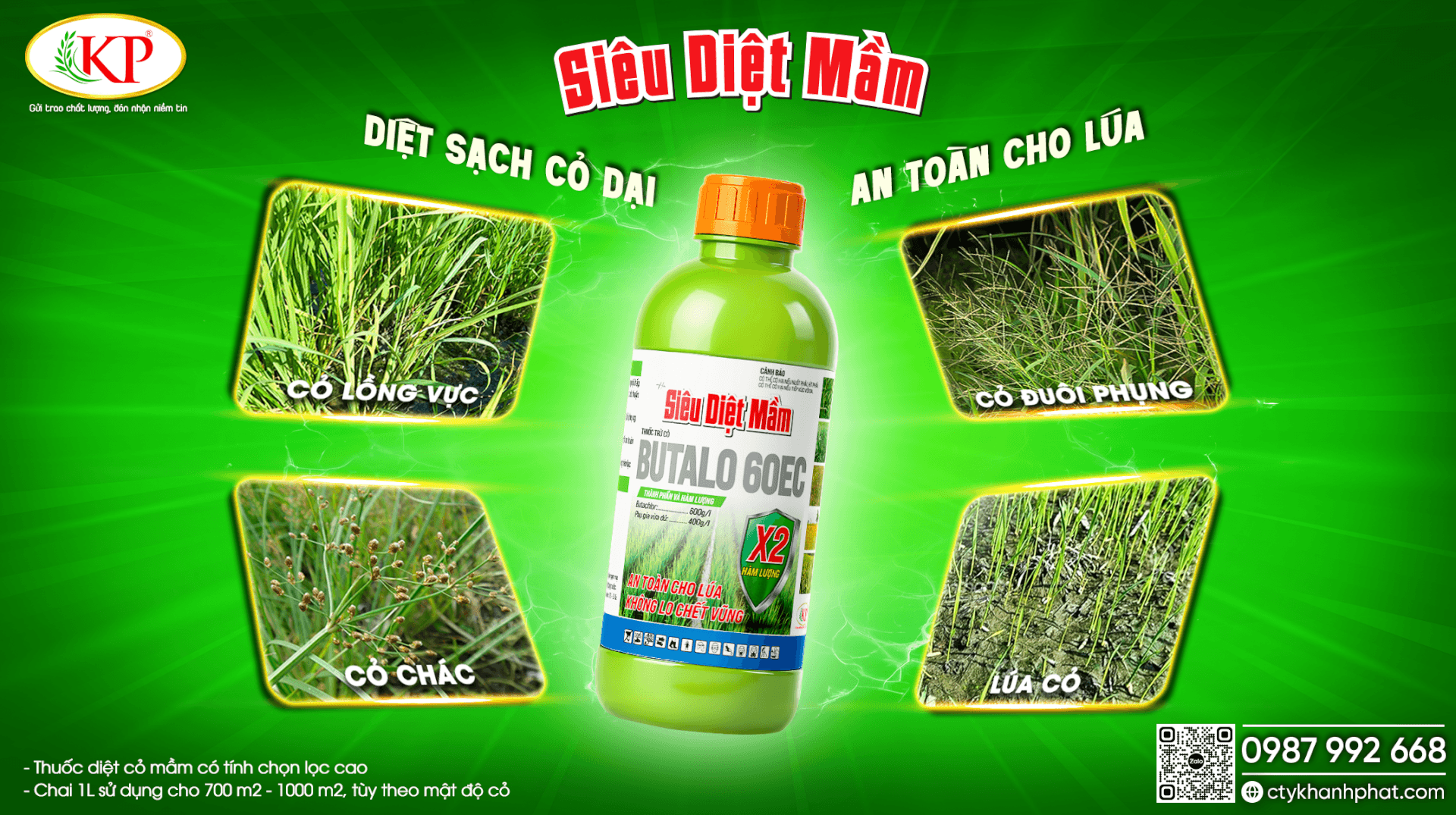 Phương Pháp Diệt Cỏ Tiền Nảy Mầm Trên Ruộng Lúa Hiệu Quả Với BUTALO 60EC