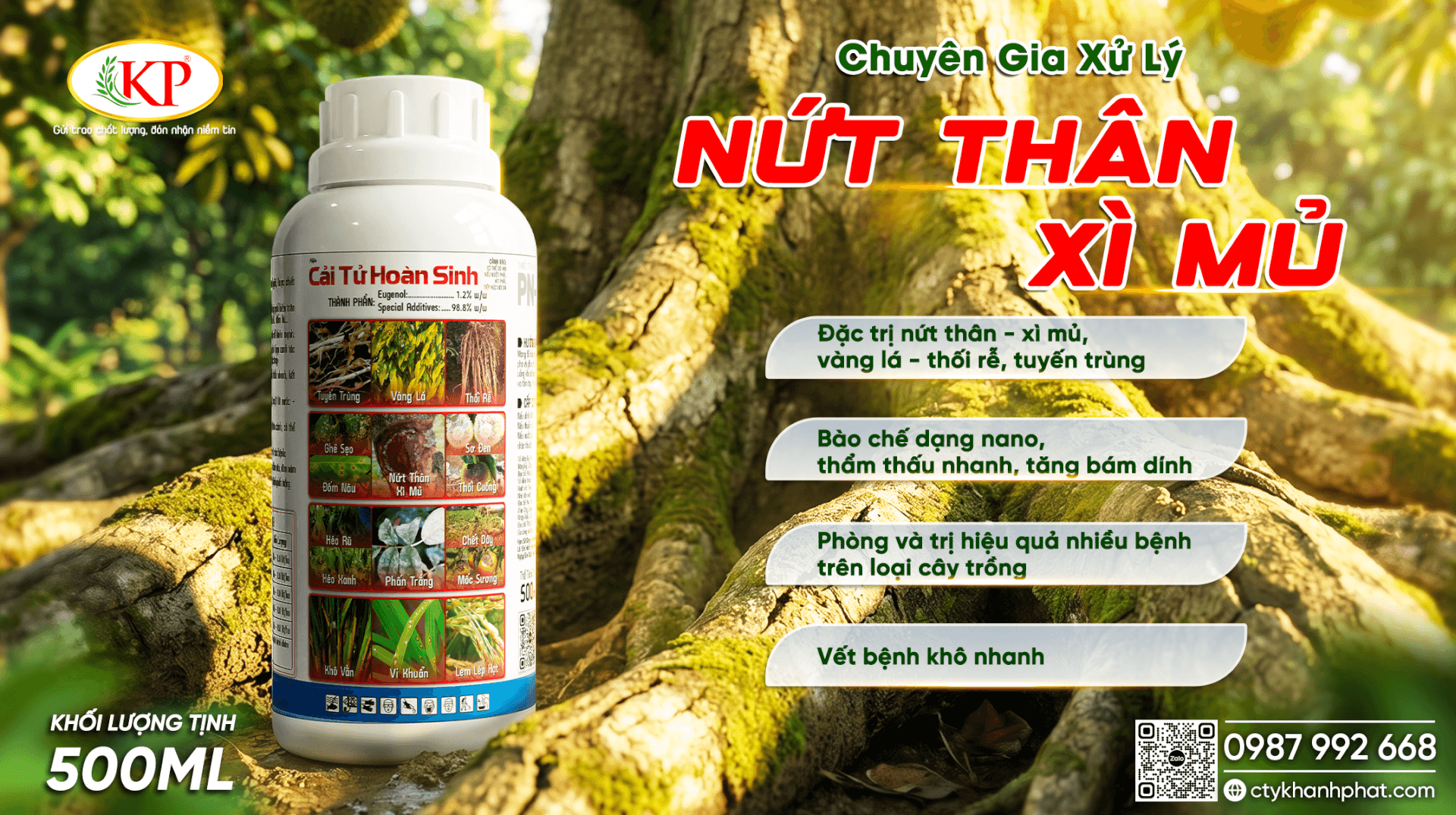 Cách trị nứt thân xì mủ trên sầu riêng tận gốc