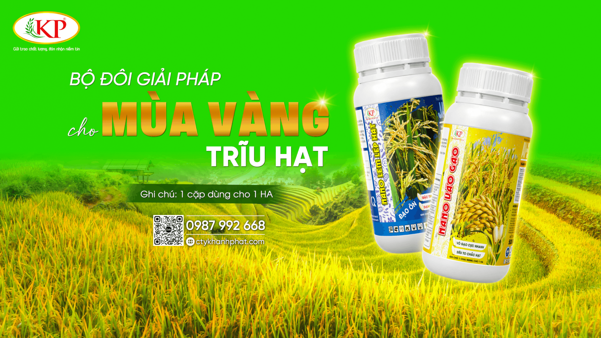 Cách Chăm Sóc Giai Đoạn Lúa Cong Trái Me: Sạch Bệnh, Chắc Hạt