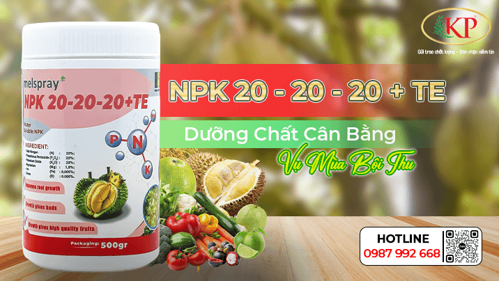 Tầm Quan Trọng của Dinh Dưỡng Khi Cây Sầu Riêng Ra Bông và Nuôi Trái Non