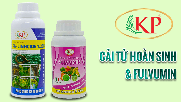 Bộ Đôi Cải Tạo Cây Trồng: CẢI TỬ HOÀN SINH (PN-LINHCIDE 1.2EW) và FULVUMIN - GIẢI PHÁP CHO CÂY TRỒNG