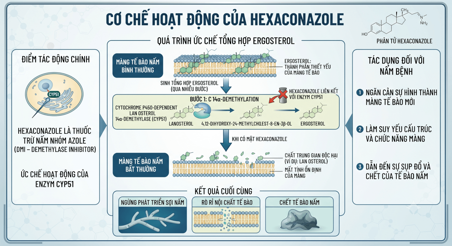 Hexaconazole là gì? Ứng dụng đặc biệt trong nông nghiệp