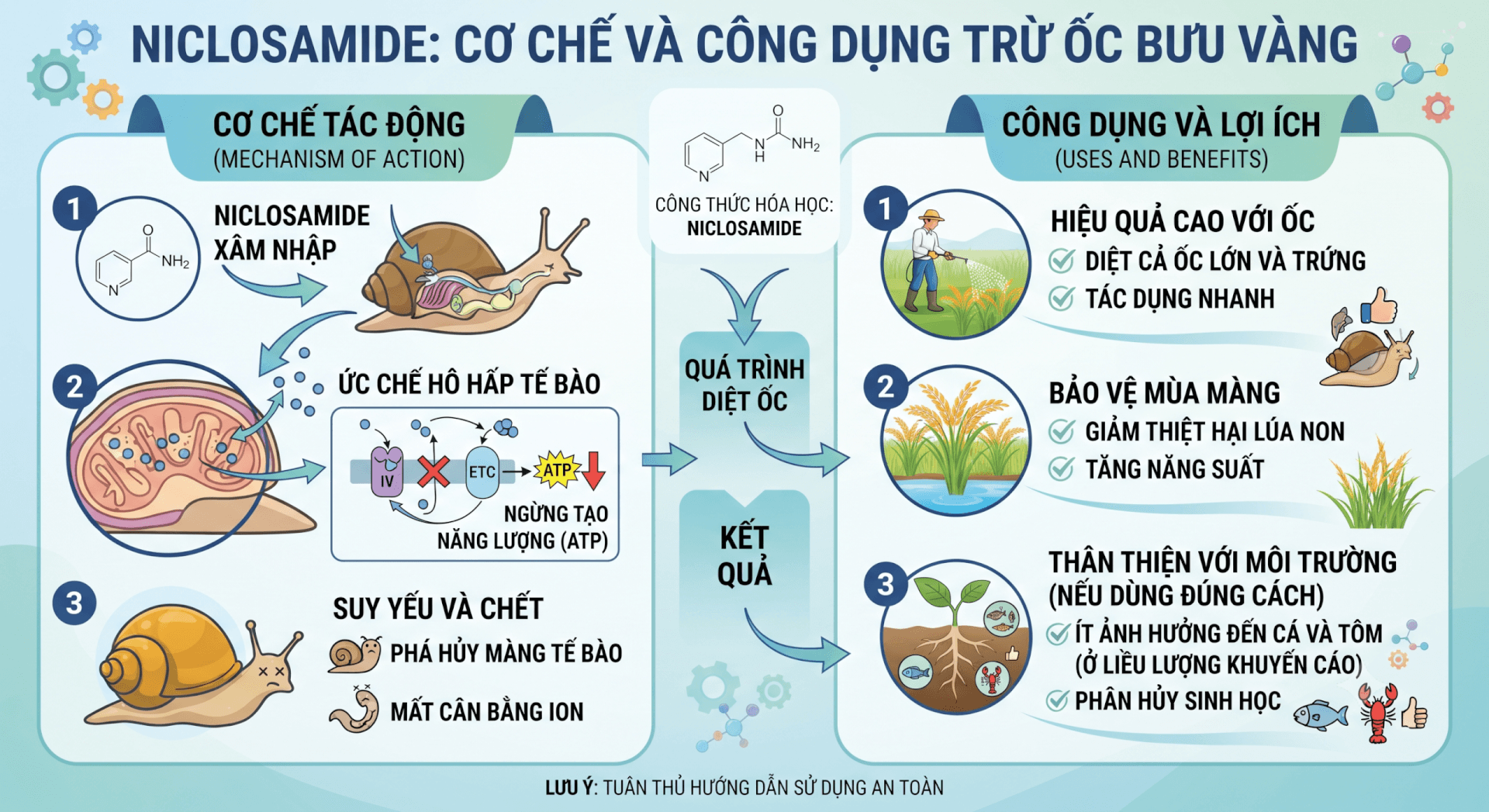 Niclosamide Là Gì? Cơ Chế & Công Dụng Trừ Ốc Bươu Vàng Hiệu Quả