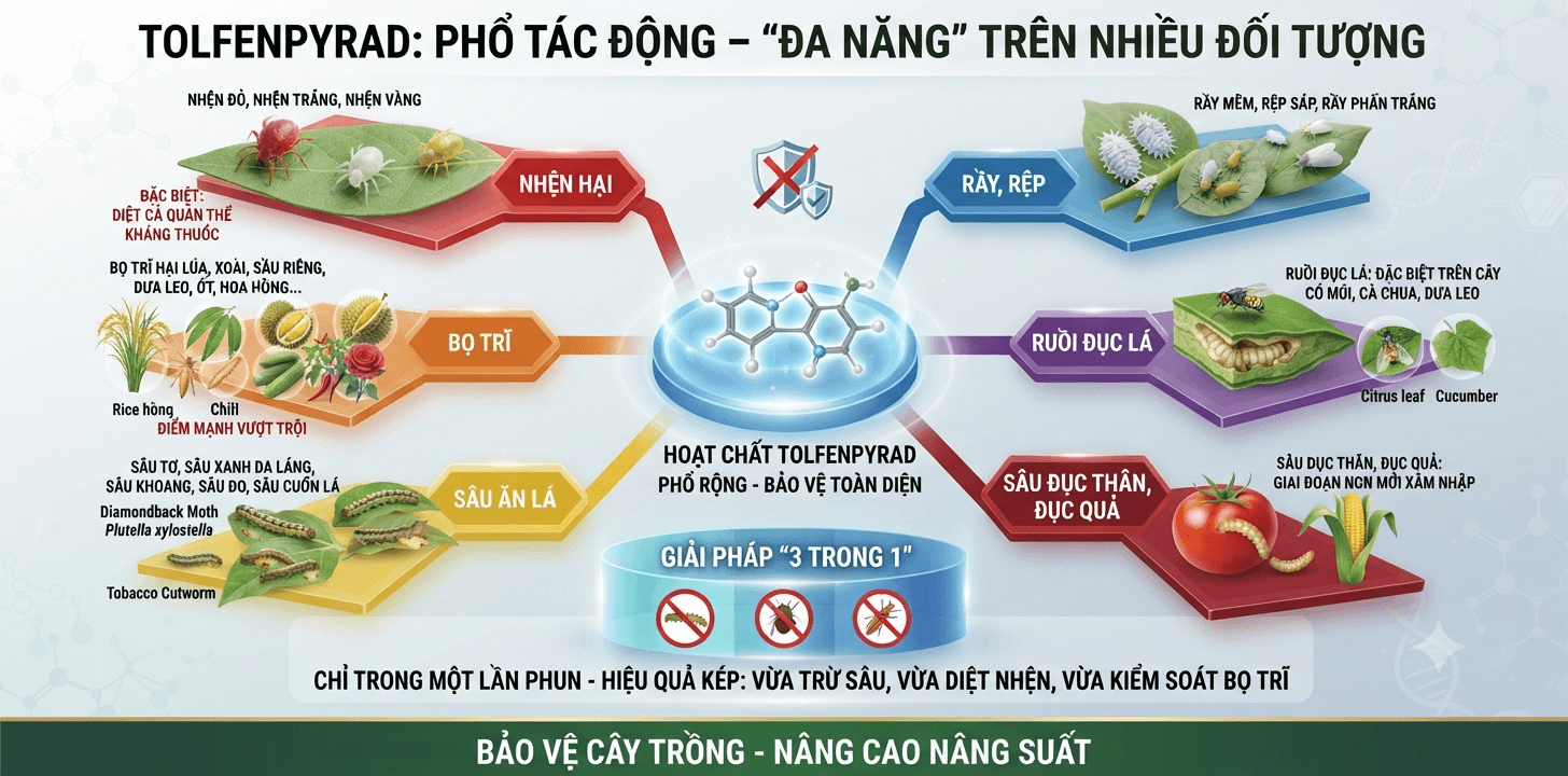 Tolfenpyrad Là Gì? Cơ Chế & Công Dụng "Đa Năng" Trong Nông Nghiệp