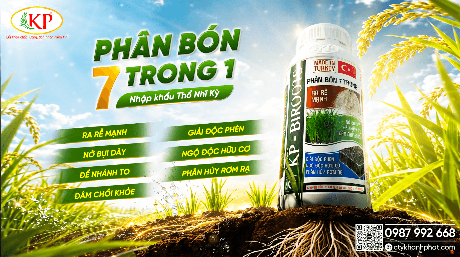 Tại Sao Lúa Nghẹt Rễ, Chậm Nở Bụi Dù Rải Nhiều Phân Gốc?