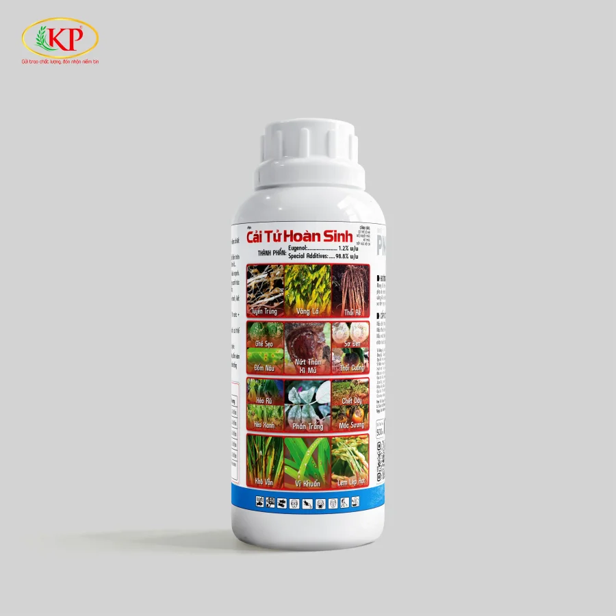 Cải Tử Hoàn Sinh